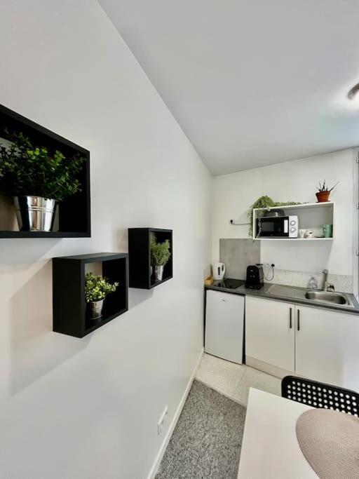 Studio 3 Rue Theodore Bac - Dabnb Limoges Bagian luar foto